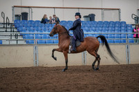 2019 Morgan Horse Show - Aug 30, 2019 - 28358