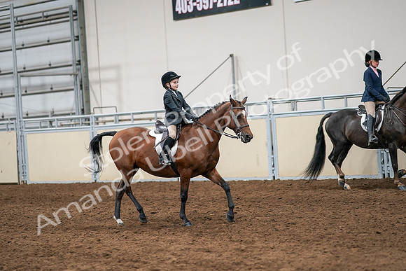2020 - AB Morgan Horse - Sun, Sept 06 - 07993