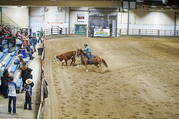 DSC05353