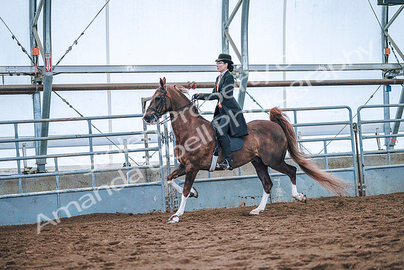 July 20, 2019 - 23830