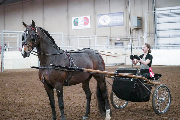 Spring Fling - Saturday - April 20, 2019  -  00321