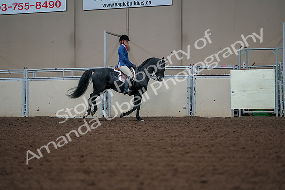 2019 Morgan Horse Show - Aug 30, 2019 - 18610