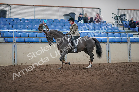 2019 Morgan Horse Show - Aug 31, 2019 - 14733