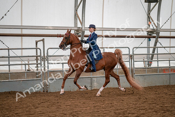 July 19, 2019 - 10362