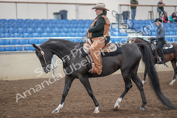 2019 Morgan Horse Show - Aug 31, 2019 - 06020
