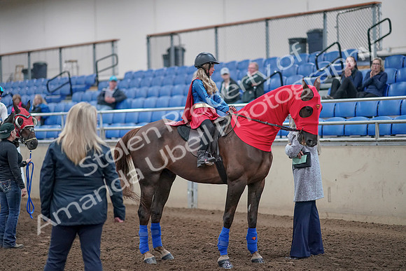 2019 Morgan Horse Show - Aug 31, 2019 - 10141