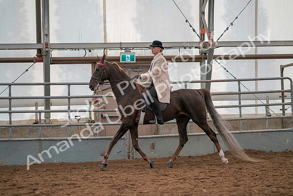July 19, 2019 - 12851