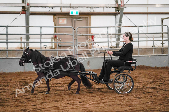 July 19, 2019 - 7029