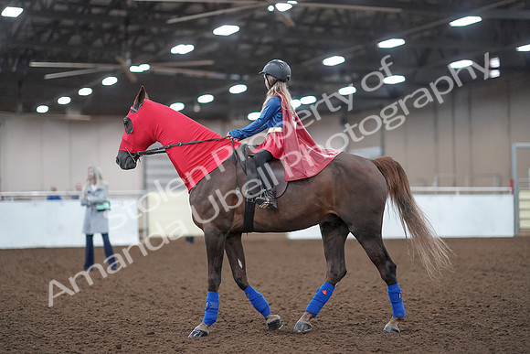 2019 Morgan Horse Show - Aug 31, 2019 - 10080