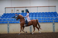 2019 Morgan Horse Show - Aug 30, 2019 - 21393