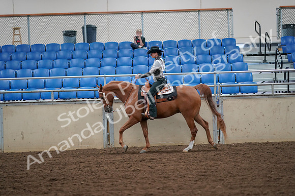 2019 Morgan Horse Show - Aug 30, 2019 - 16861