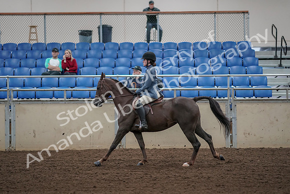 2019 Morgan Horse Show - Aug 31, 2019 - 05128
