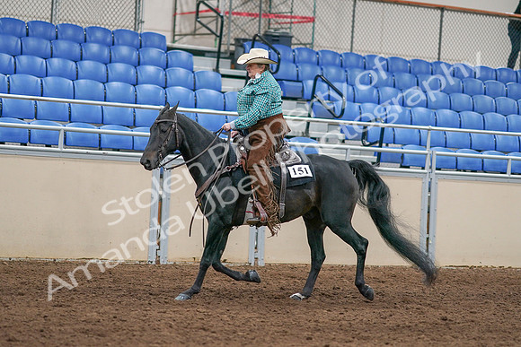 2020 - AB Morgan Horse - Sun, Sept 06 - 01621