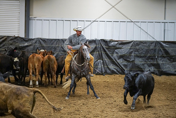 DSC09012
