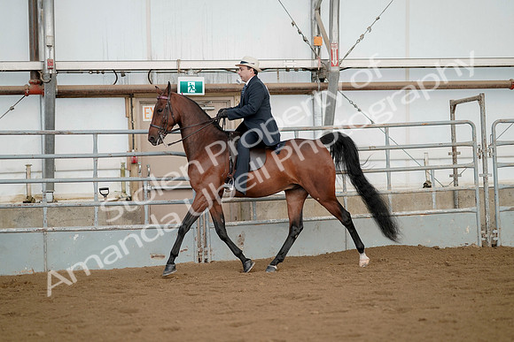 July 21, 2019 - 01673