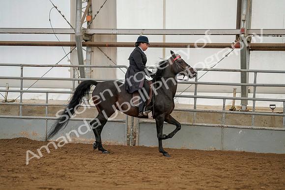 July 20, 2019 - 04517