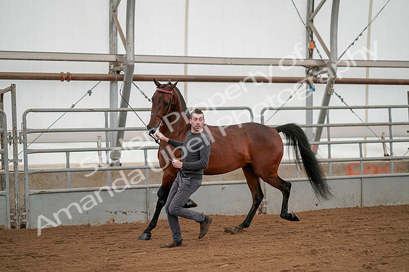July 19, 2019 - 1189