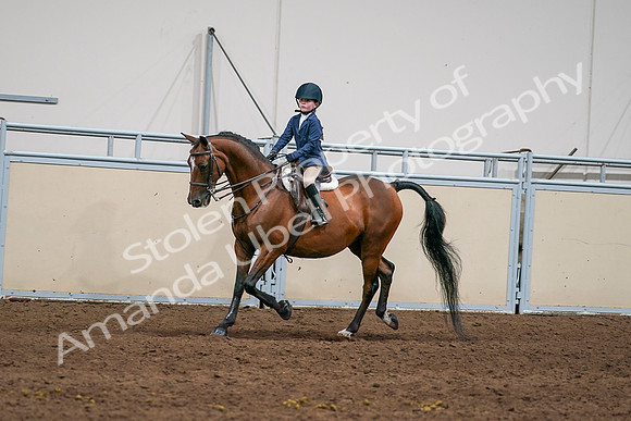 2020 - AB Morgan Horse - Sun, Sept 06 - 08168