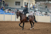 2020 - AB Morgan Horse - Sat, Sept 05 - 09300