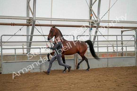 July 19, 2019 - 1247