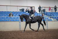 2019 Morgan Horse Show - Aug 31, 2019 - 14630