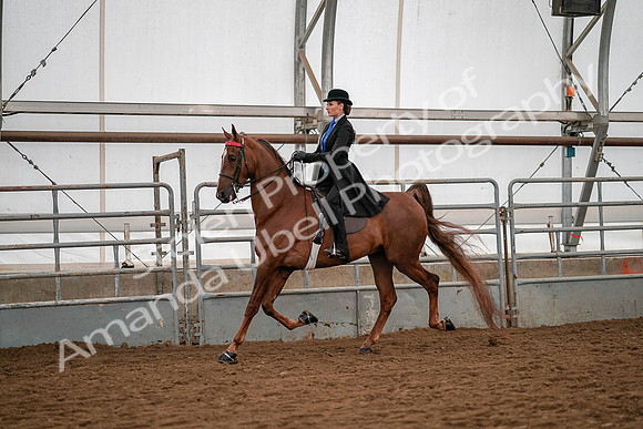 July 19, 2019 - 10465
