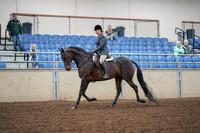 2019 Morgan Horse Show - Aug 30, 2019 - 13885