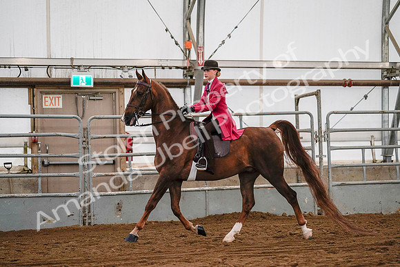 July 19, 2019 - 8734