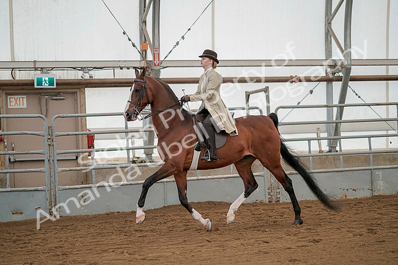July 20, 2019 - 02065