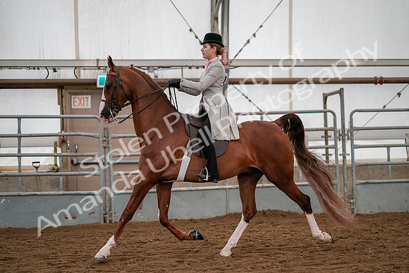 July 19, 2019 - 10441