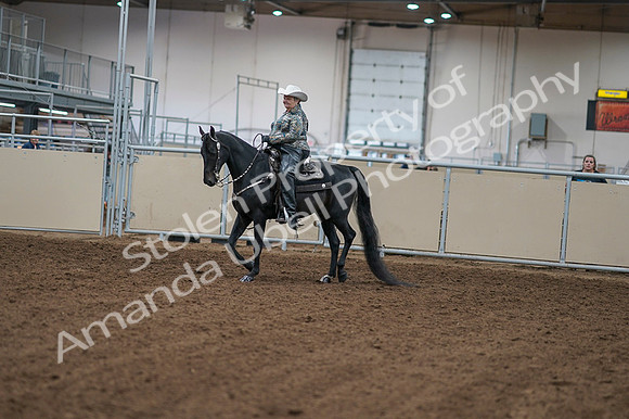 2020 - AB Morgan Horse - Fri, Sept 04 - 03495