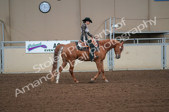 2019 Morgan Horse Show - Aug 30, 2019 - 17022