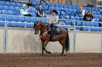 2020 - AB Morgan Horse - Fri, Sept 04 - 05698