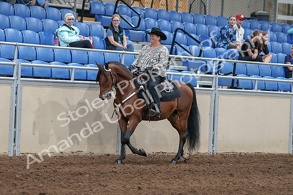 2020 - AB Morgan Horse - Fri, Sept 04 - 05698