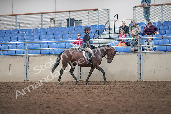 2019 Morgan Horse Show - Aug 31, 2019 - 19681