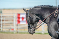 Cross National Cup Canada - Aug 17, 2019 - 07055