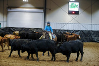 Herd Work - Youth 10-13