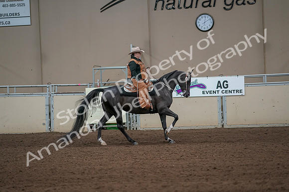 2019 Morgan Horse Show - Aug 31, 2019 - 06173