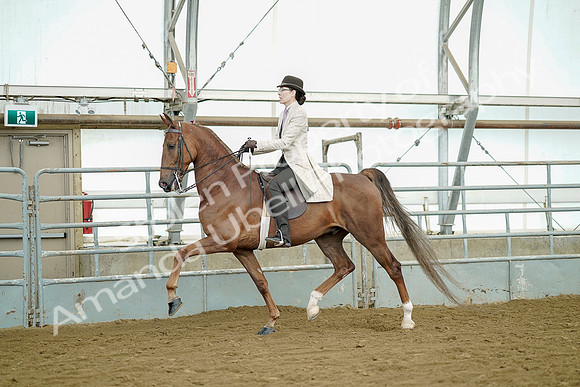 July 20, 2019 - 07753