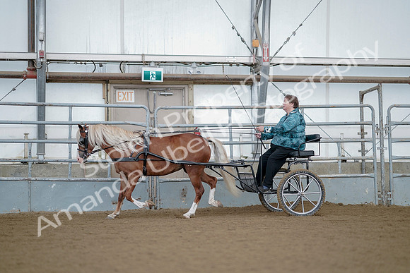 July 21, 2019 - 06780