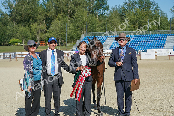 2024 - WCB - July 19 - 03775
