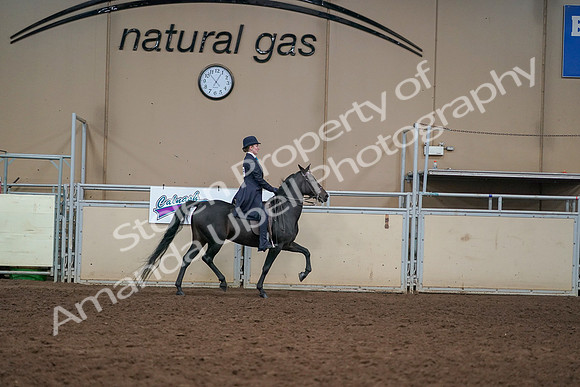 2019 Morgan Horse Show - Aug 30, 2019 - 12468