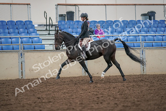 2019 Morgan Horse Show - Aug 30, 2019 - 20393