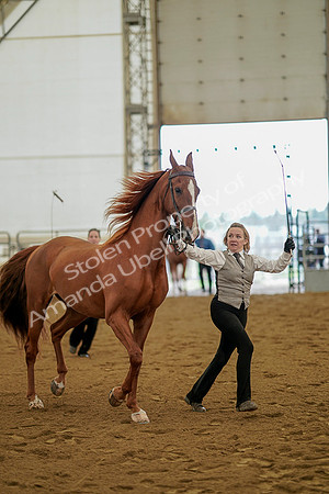 July 19, 2019 - 1099