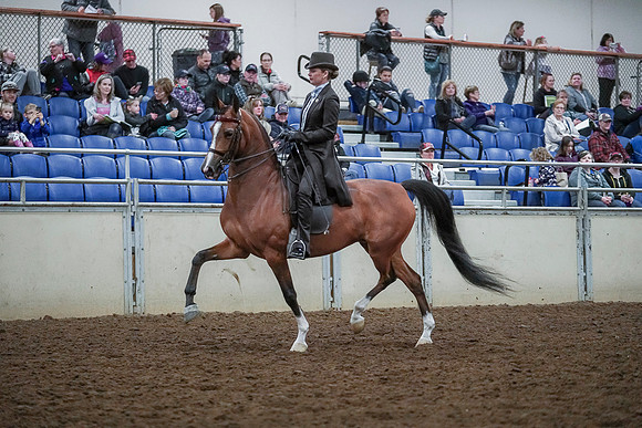 Spring Fling - Saturday - April 20, 2019  -  00612