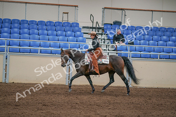 2020 - AB Morgan Horse - Sun, Sept 06 - 01616
