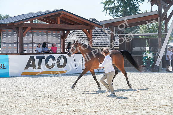 2024 - WCB - July 18 - 02843