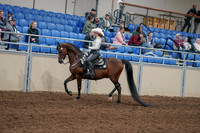 2020 - AB Morgan Horse - Sun, Sept 06 - 07465