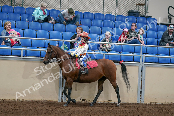 2020 - AB Morgan Horse - Sat, Sept 05 - 05779