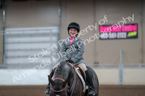 2019 Morgan Horse Show - Aug 31, 2019 - 19738